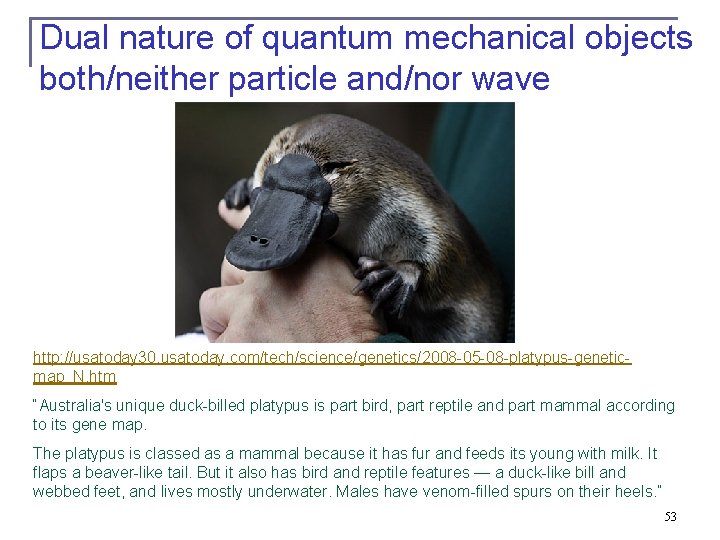 Dual nature of quantum mechanical objects both/neither particle and/nor wave http: //usatoday 30. usatoday.