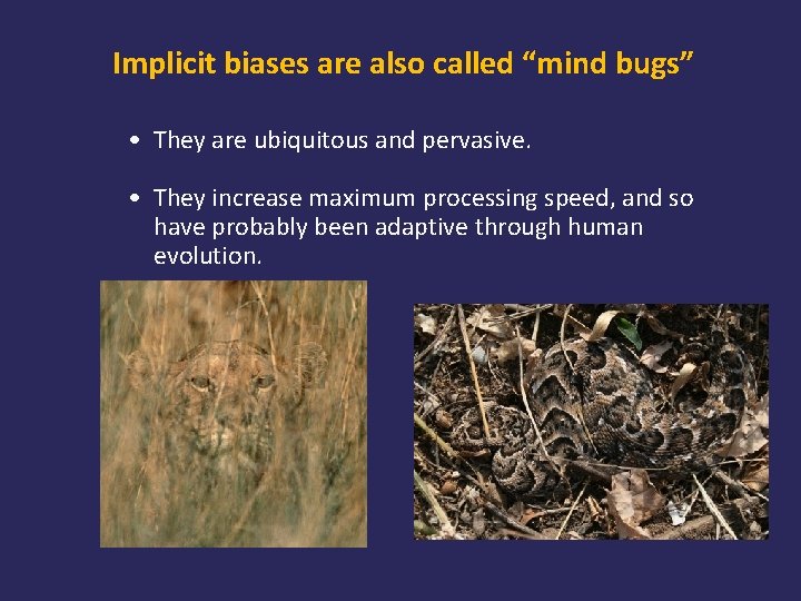 Implicit biases are also called “mind bugs” • They are ubiquitous and pervasive. •