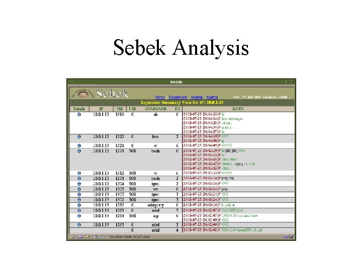 Sebek Analysis 