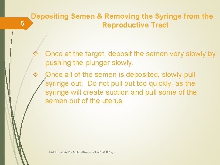 Depositing Semen & Removing the Syringe from the 5 Reproductive Tract Once at the