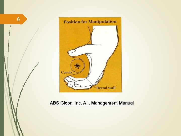 6 ABS Global Inc. A. I. Management Manual 