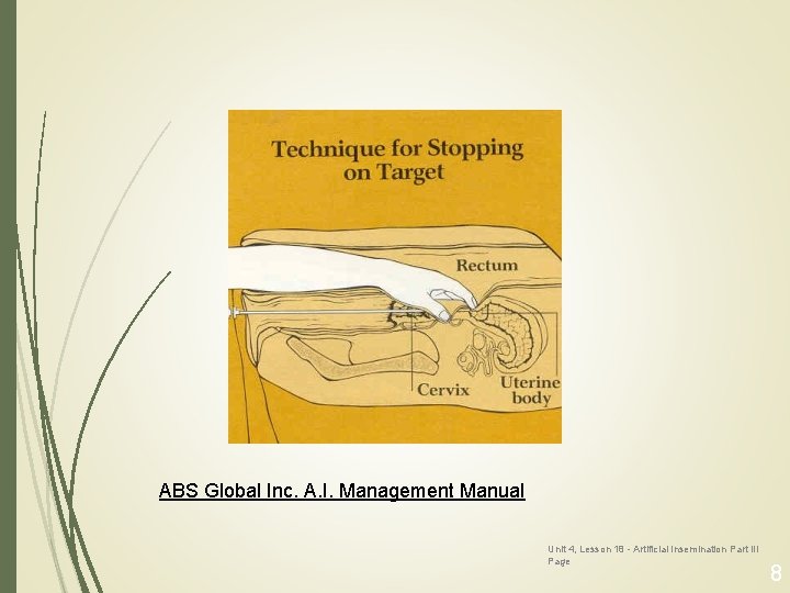 ABS Global Inc. A. I. Management Manual Unit 4, Lesson 18 - Artificial Insemination