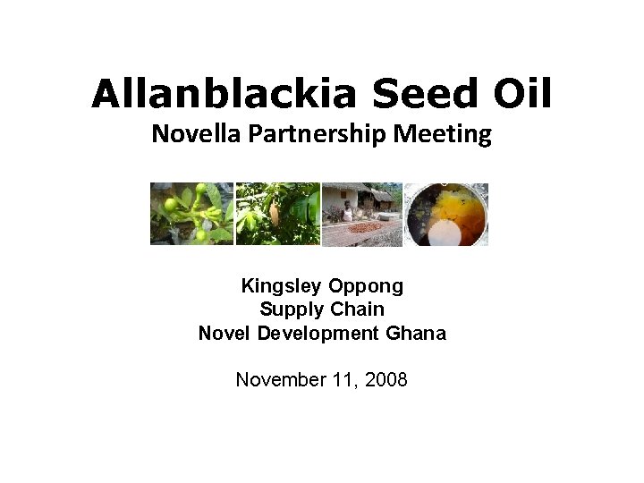 Allanblackia Seed Oil Novella Partnership Meeting Kingsley Oppong Supply Chain Novel Development Ghana November