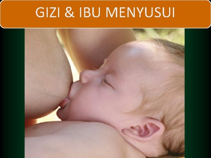 GIZI & IBU MENYUSUI 