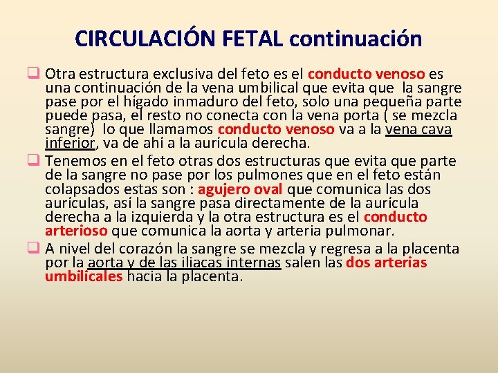 CIRCULACIÓN FETAL continuación q Otra estructura exclusiva del feto es el conducto venoso es