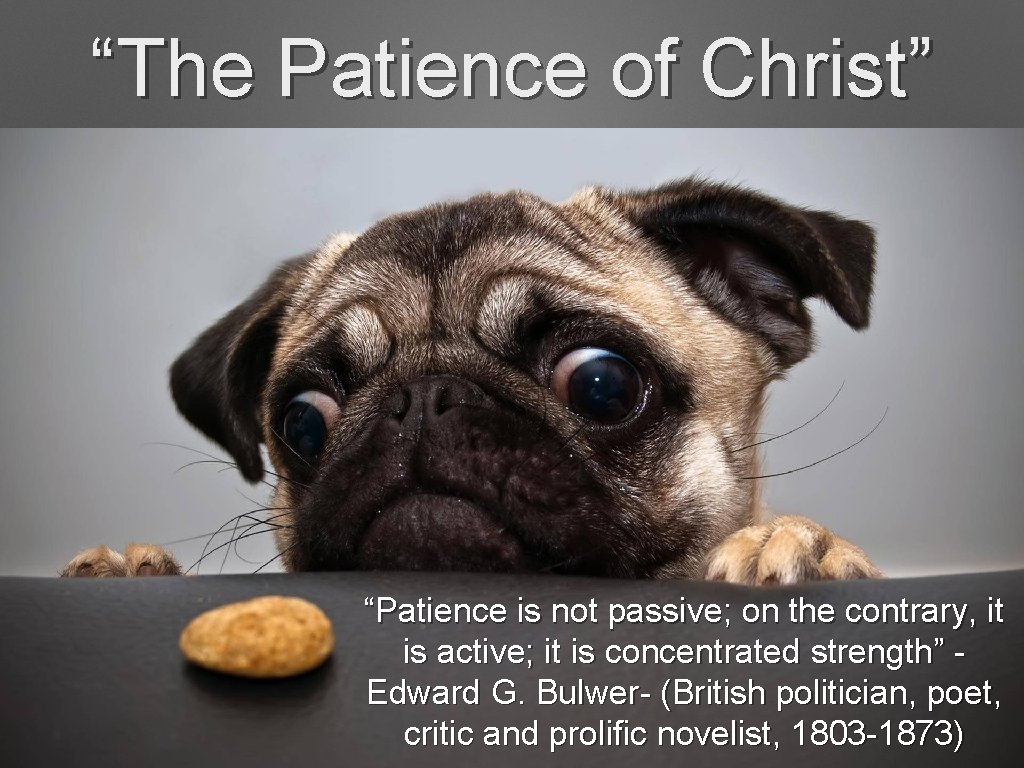 “The Patience of Christ” “Patience is not passive; on the contrary, it is active; “The Patience of Christ” “Patience is not passive; on the contrary, it is active;