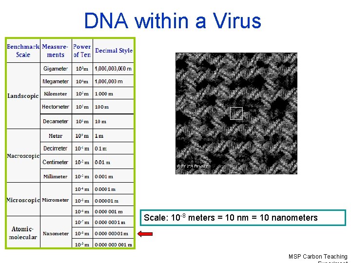 DNA within a Virus Scale: 10 -8 meters = 10 nm = 10 nanometers