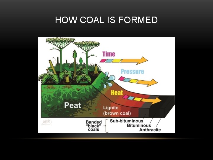 HOW COAL IS FORMED 