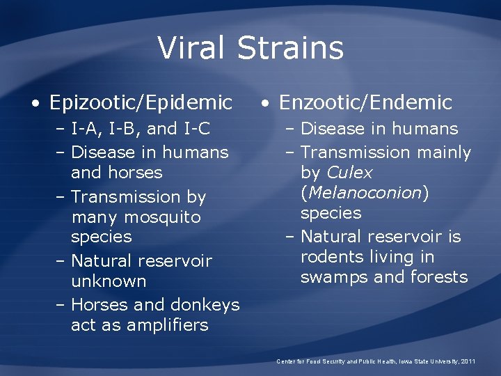 Viral Strains • Epizootic/Epidemic – I-A, I-B, and I-C – Disease in humans and