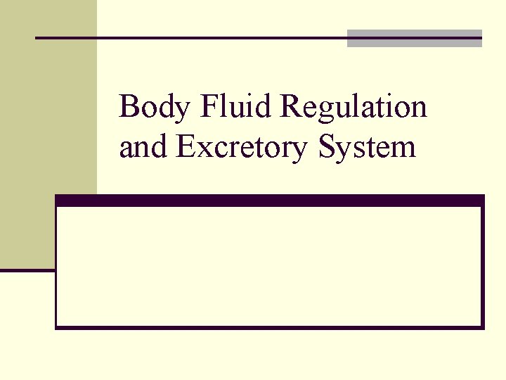 Body Fluid Regulation and Excretory System 