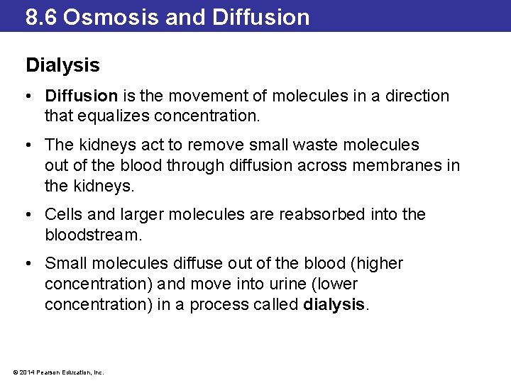 8. 6 Osmosis and Diffusion Dialysis • Diffusion is the movement of molecules in