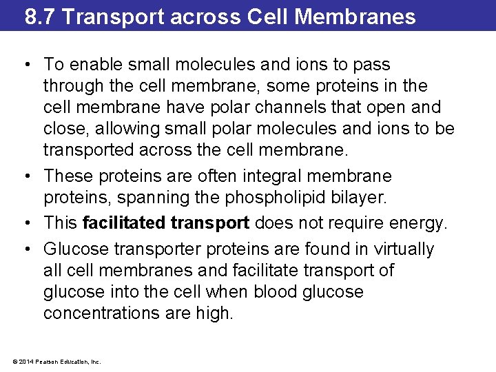 8. 7 Transport across Cell Membranes • To enable small molecules and ions to