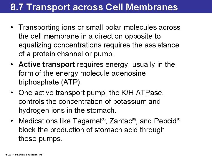8. 7 Transport across Cell Membranes • Transporting ions or small polar molecules across