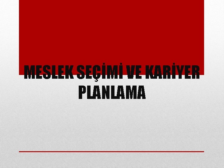 MESLEK SEÇİMİ VE KARİYER PLANLAMA 