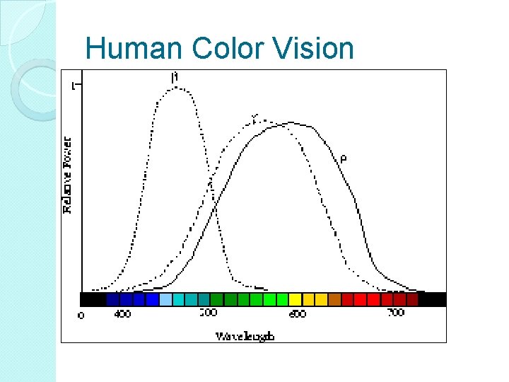 Human Color Vision Human Color Vision