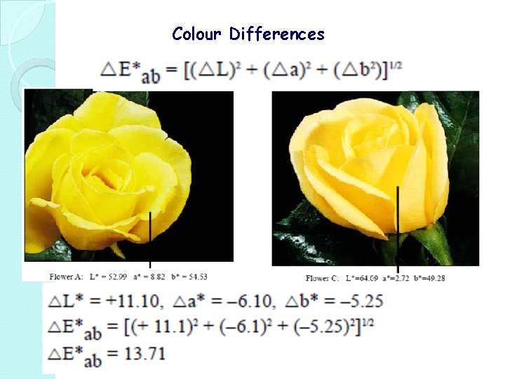 Colour Differences 