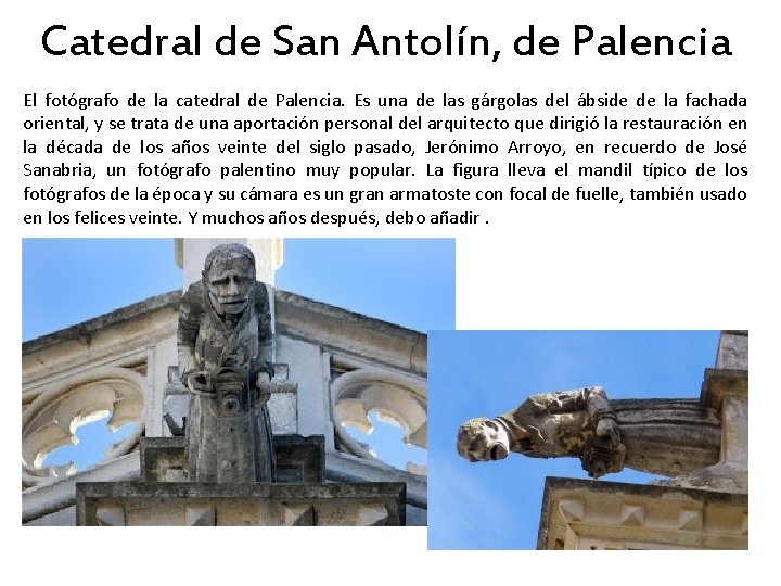Catedral de San Antolín, de Palencia El fotógrafo de la catedral de Palencia. Es