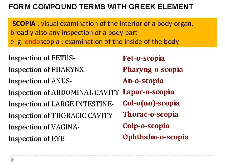 FORM COMPOUND TERMS WITH GREEK ELEMENT -SCOPIA : visual examination of the interior of