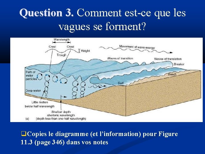 Question 3. Comment est-ce que les vagues se forment? Copies le diagramme (et l’information)