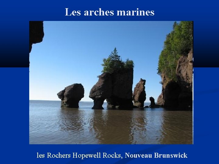 Les arches marines les Rochers Hopewell Rocks, Nouveau Brunswick 