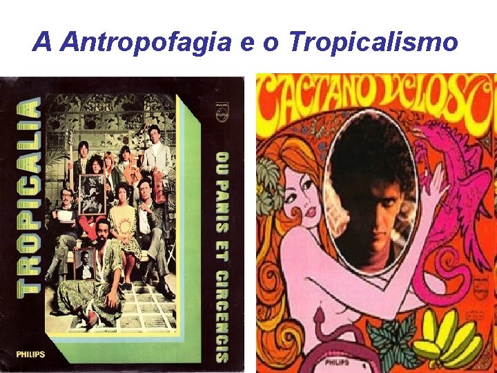 A Antropofagia e o Tropicalismo 