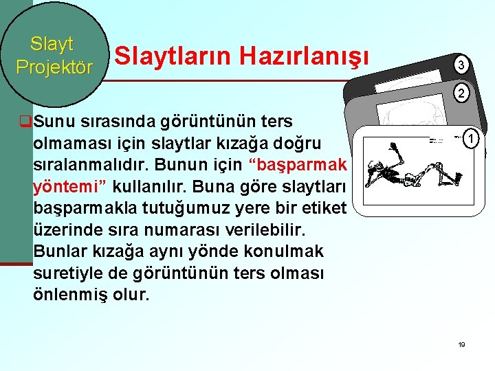 Slayt Projektör Slaytların Hazırlanışı 3 2 q. Sunu sırasında görüntünün ters olmaması için slaytlar