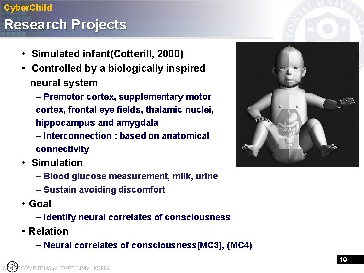 Cyber. Child Research Projects • Simulated infant(Cotterill, 2000) • Controlled by a biologically inspired