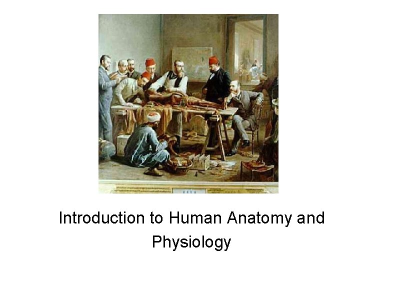 Introduction to Human Anatomy and Physiology 