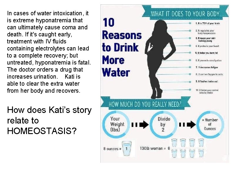 In cases of water intoxication, it is extreme hyponatremia that can ultimately cause coma