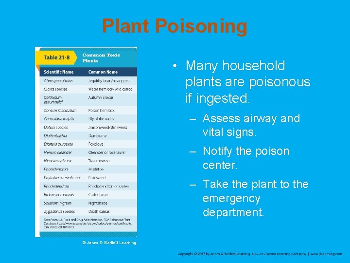 Plant Poisoning • Many household plants are poisonous if ingested. – Assess airway and