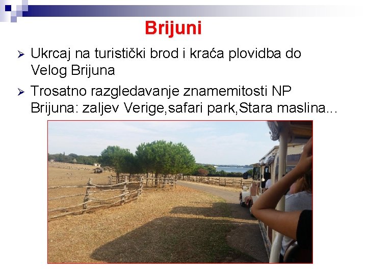 Brijuni Ø Ø Ukrcaj na turistički brod i kraća plovidba do Velog Brijuna Trosatno