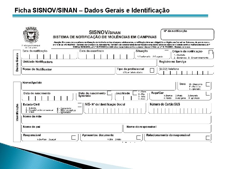 Ficha SISNOV/SINAN – Dados Gerais e Identificação 