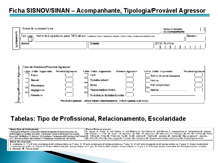 Ficha SISNOV/SINAN – Acompanhante, Tipologia/Provável Agressor Tabelas: Tipo de Profissional, Relacionamento, Escolaridade 