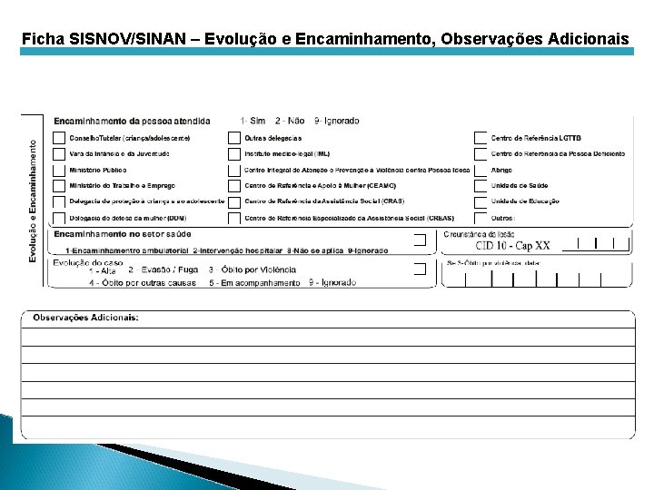 Ficha SISNOV/SINAN – Evolução e Encaminhamento, Observações Adicionais 