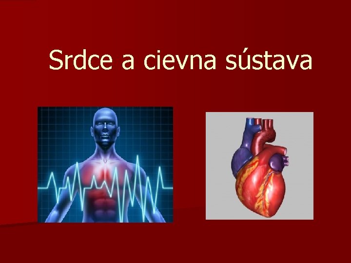 Srdce a cievna sústava 