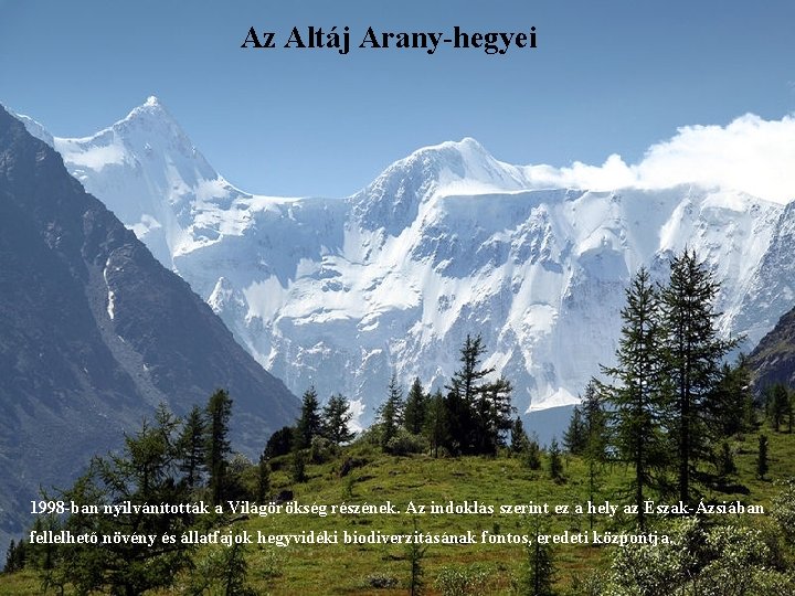 Az Altáj Arany-hegyei 1998 -ban nyilvánították a Világörökség részének. Az indoklás szerint ez a