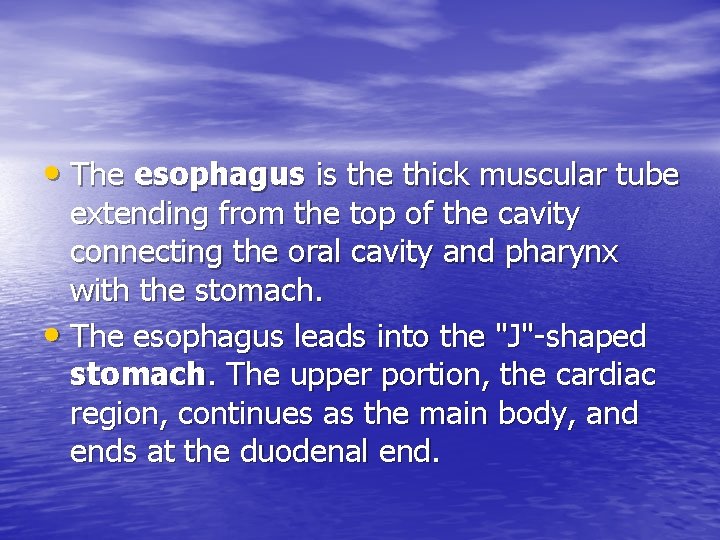  • The esophagus is the thick muscular tube extending from the top of