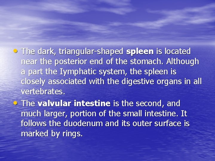  • The dark, triangular-shaped spleen is located • near the posterior end of