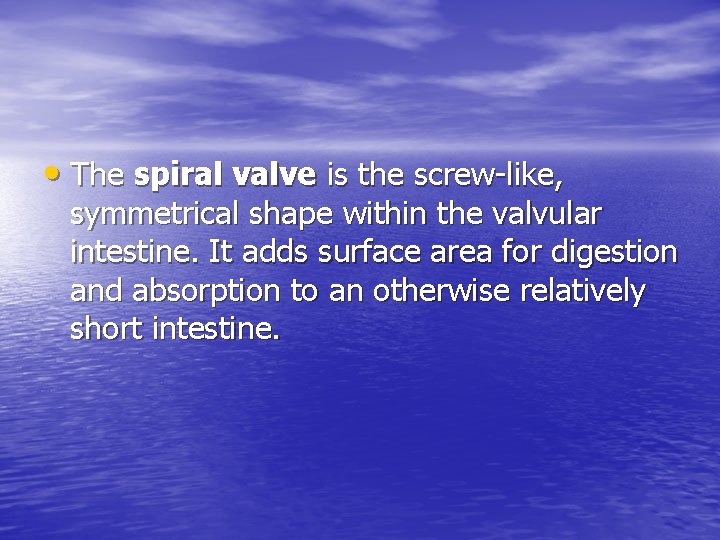  • The spiral valve is the screw-like, symmetrical shape within the valvular intestine.