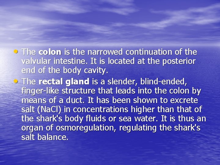  • The colon is the narrowed continuation of the • valvular intestine. It