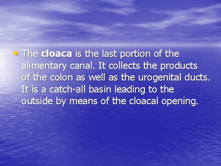  • The cloaca is the last portion of the alimentary canal. It collects