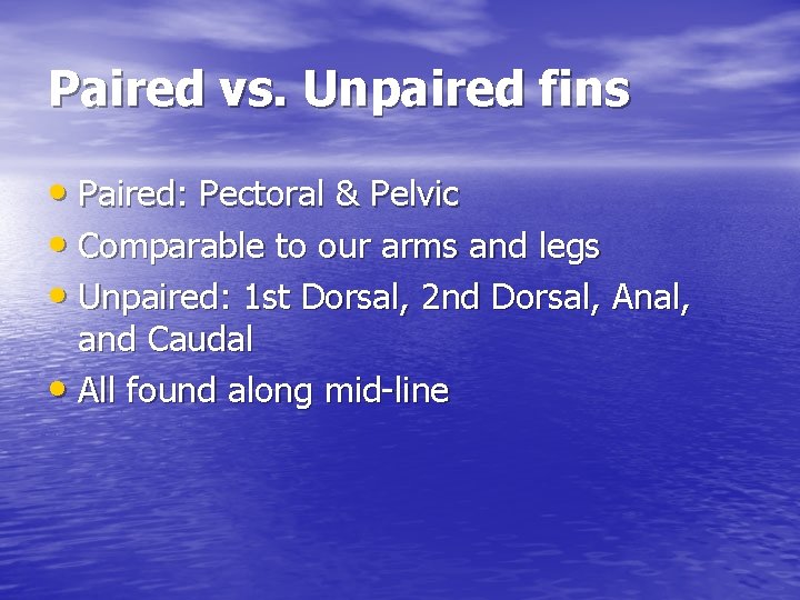 Paired vs. Unpaired fins • Paired: Pectoral & Pelvic • Comparable to our arms