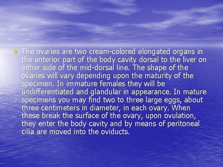  • The ovaries are two cream-colored elongated organs in the anterior part of