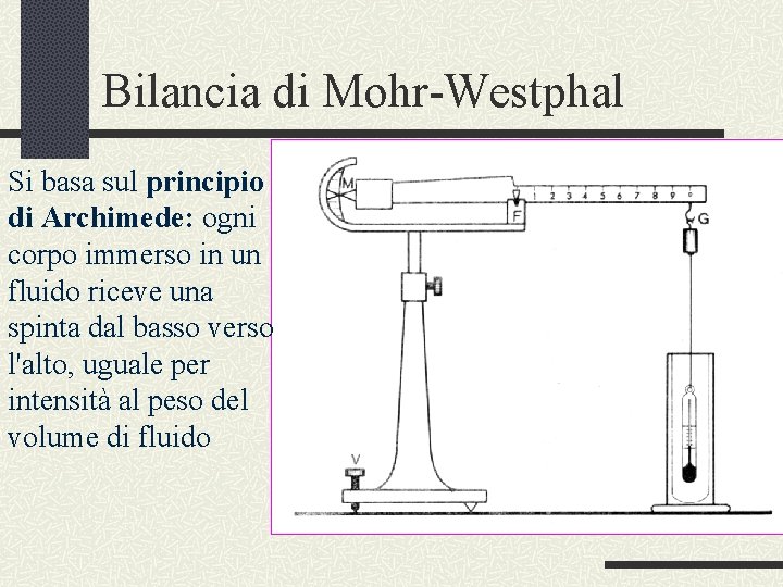 Bilancia di Mohr-Westphal Si basa sul principio di Archimede: ogni corpo immerso in un