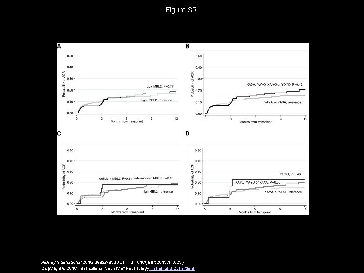 Figure S 5 Kidney International 2016 89927 -938 DOI: (10. 1016/j. kint. 2015. 11.