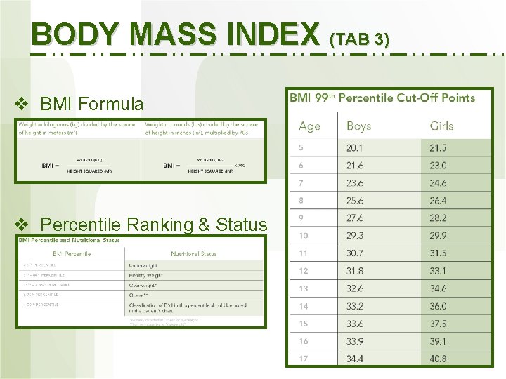 BODY MASS INDEX (TAB 3) v BMI Formula v Percentile Ranking & Status 