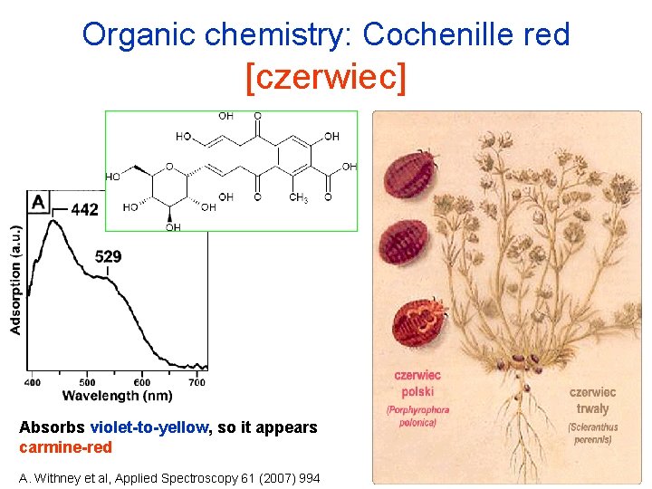 Organic chemistry: Cochenille red [czerwiec] Absorbs violet-to-yellow, so it appears carmine-red A. Withney et