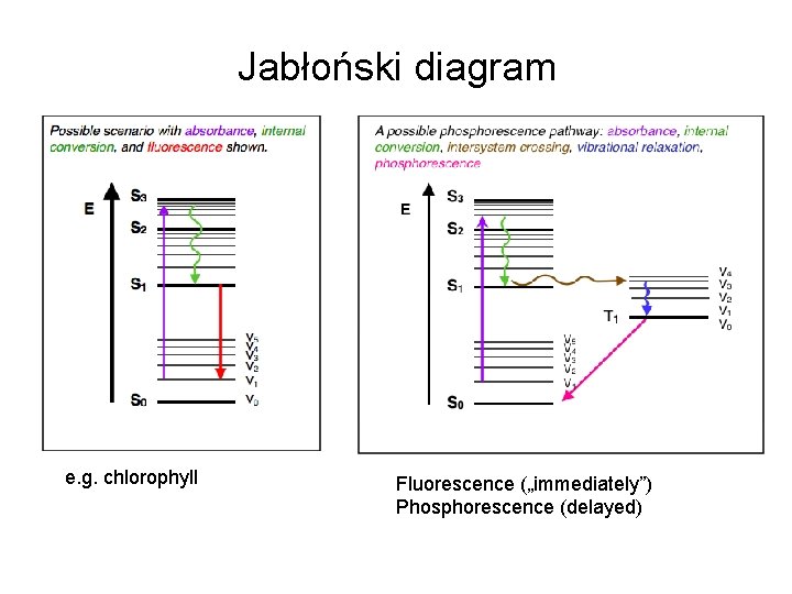 Jabłoński diagram e. g. chlorophyll Fluorescence („immediately”) Phosphorescence (delayed) 