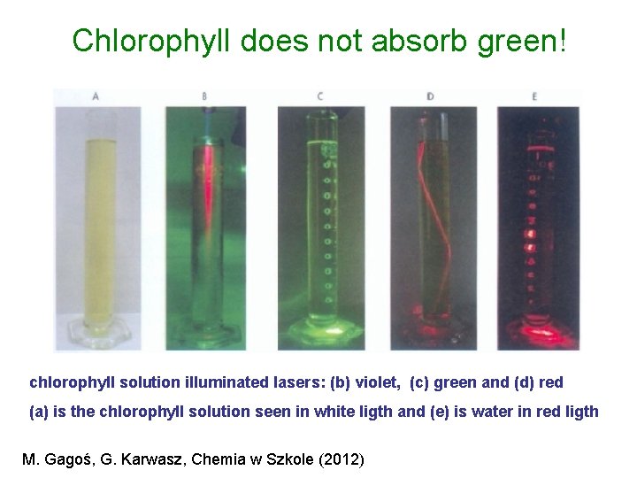 Chlorophyll does not absorb green! chlorophyll solution illuminated lasers: (b) violet, (c) green and