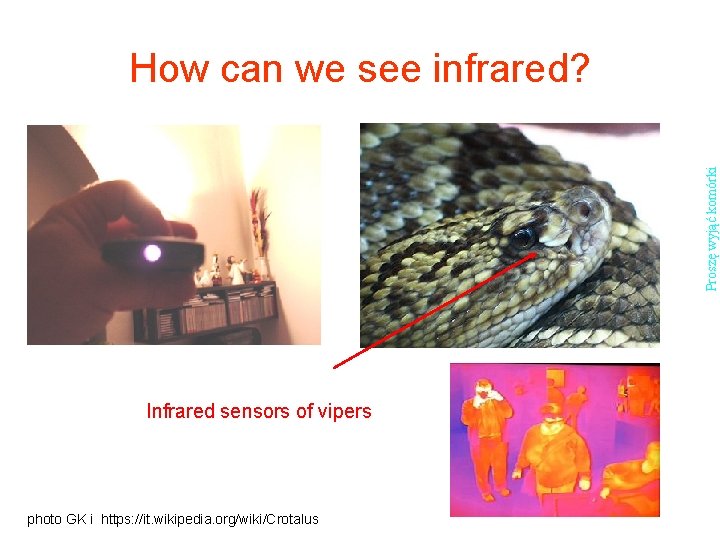 Proszę wyjąć komórki How can we see infrared? Infrared sensors of vipers photo GK